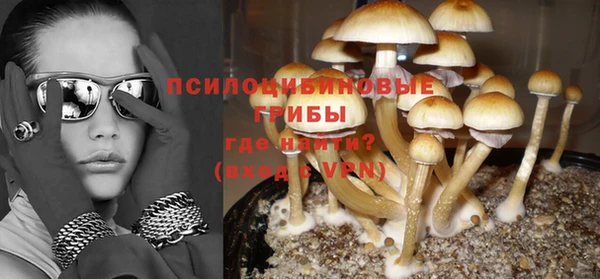 молекула духа Анива