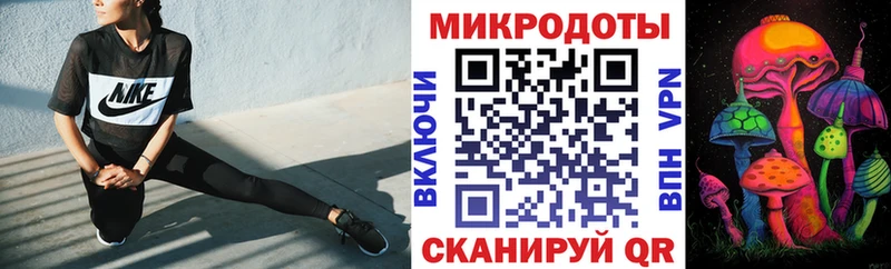 Псилоцибиновые грибы мицелий Подпорожье